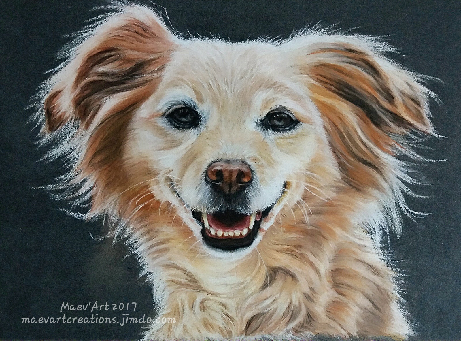 Portrait de chien