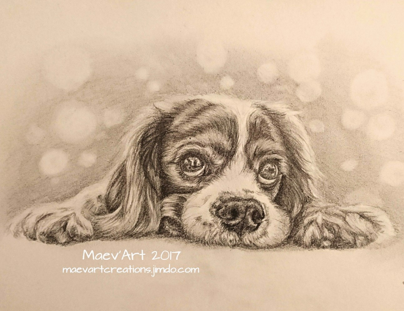 Cavalier King Charles