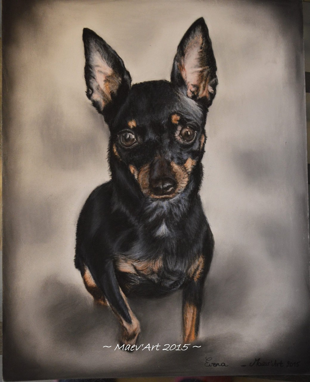 Portrait de Pinscher
