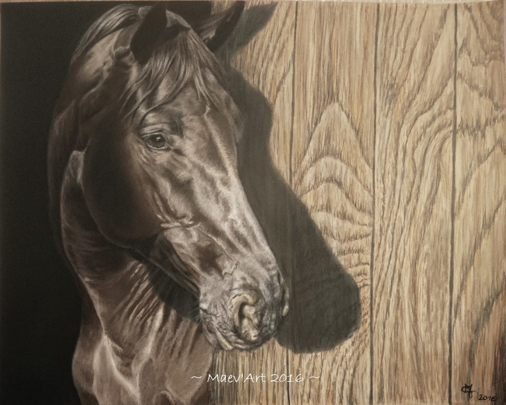 Cheval noir