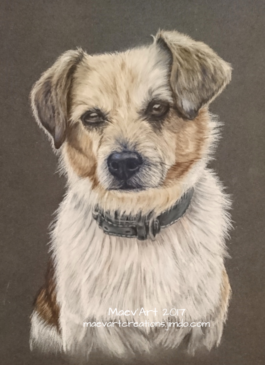 Portrait de chien
