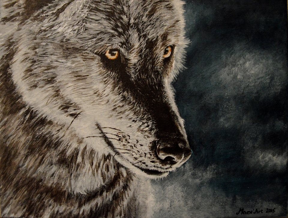 Loup dans la nuit