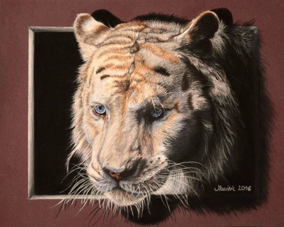Tigre blanc