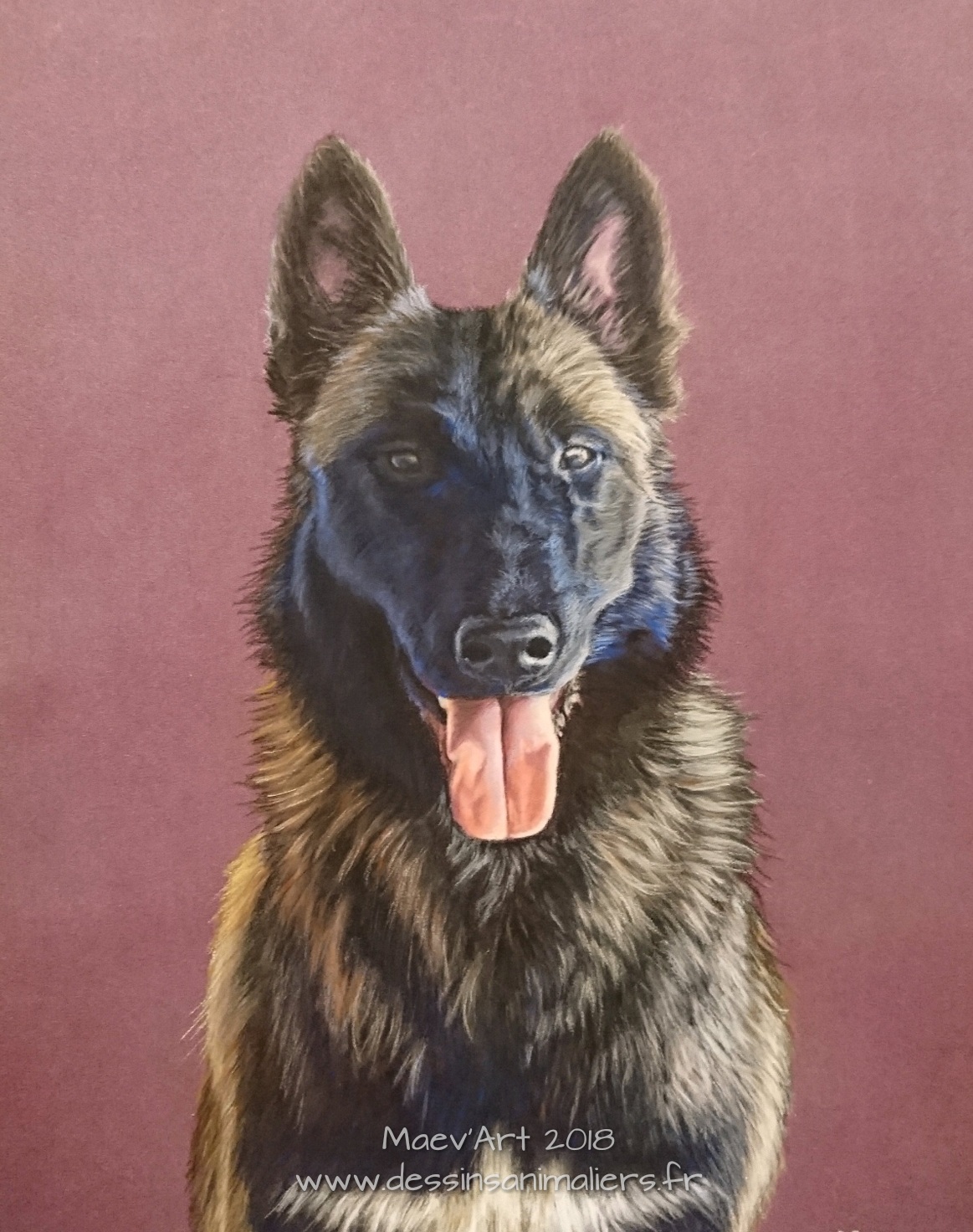 Malinois aux pastels secs