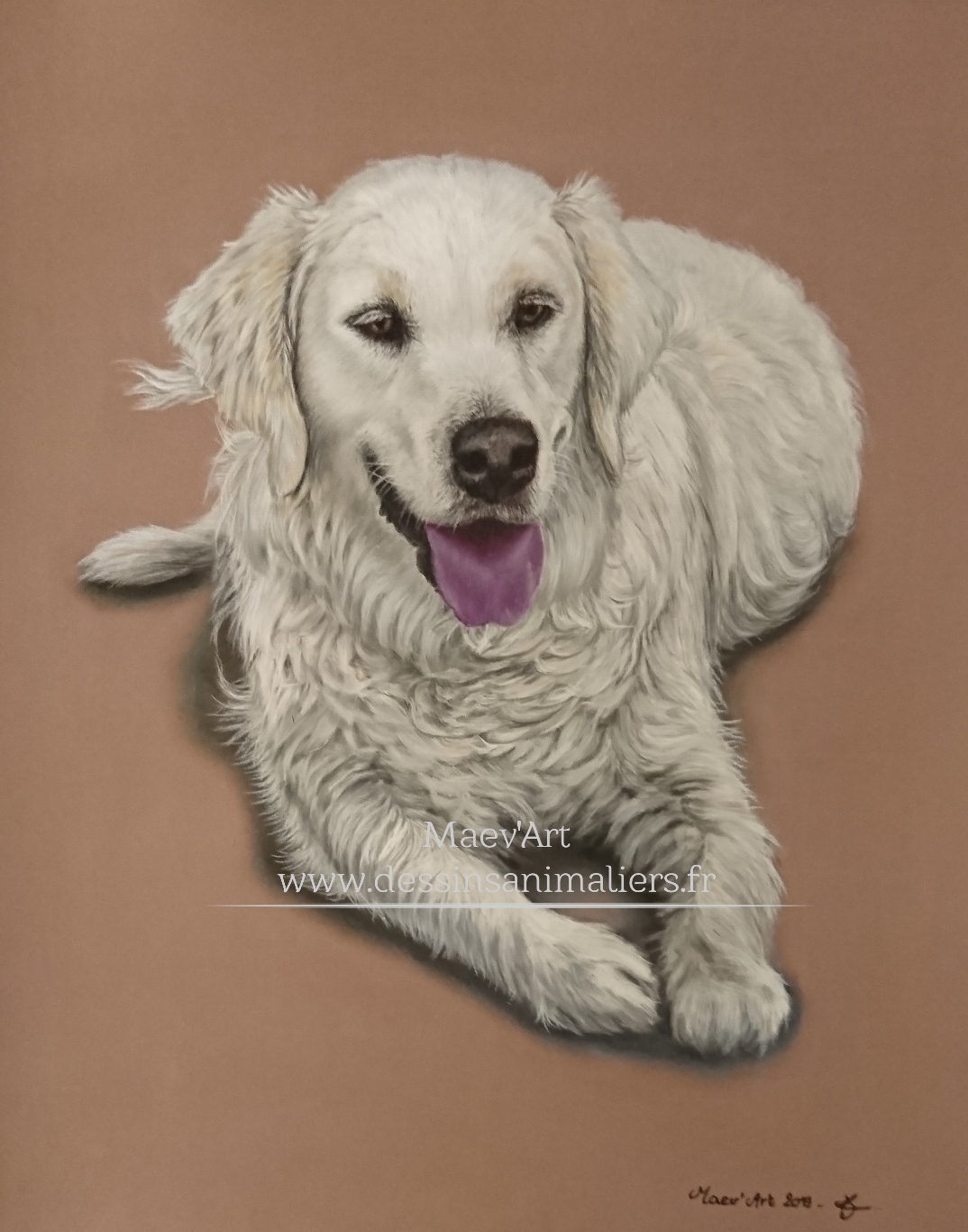Golden retriever aux pastels secs