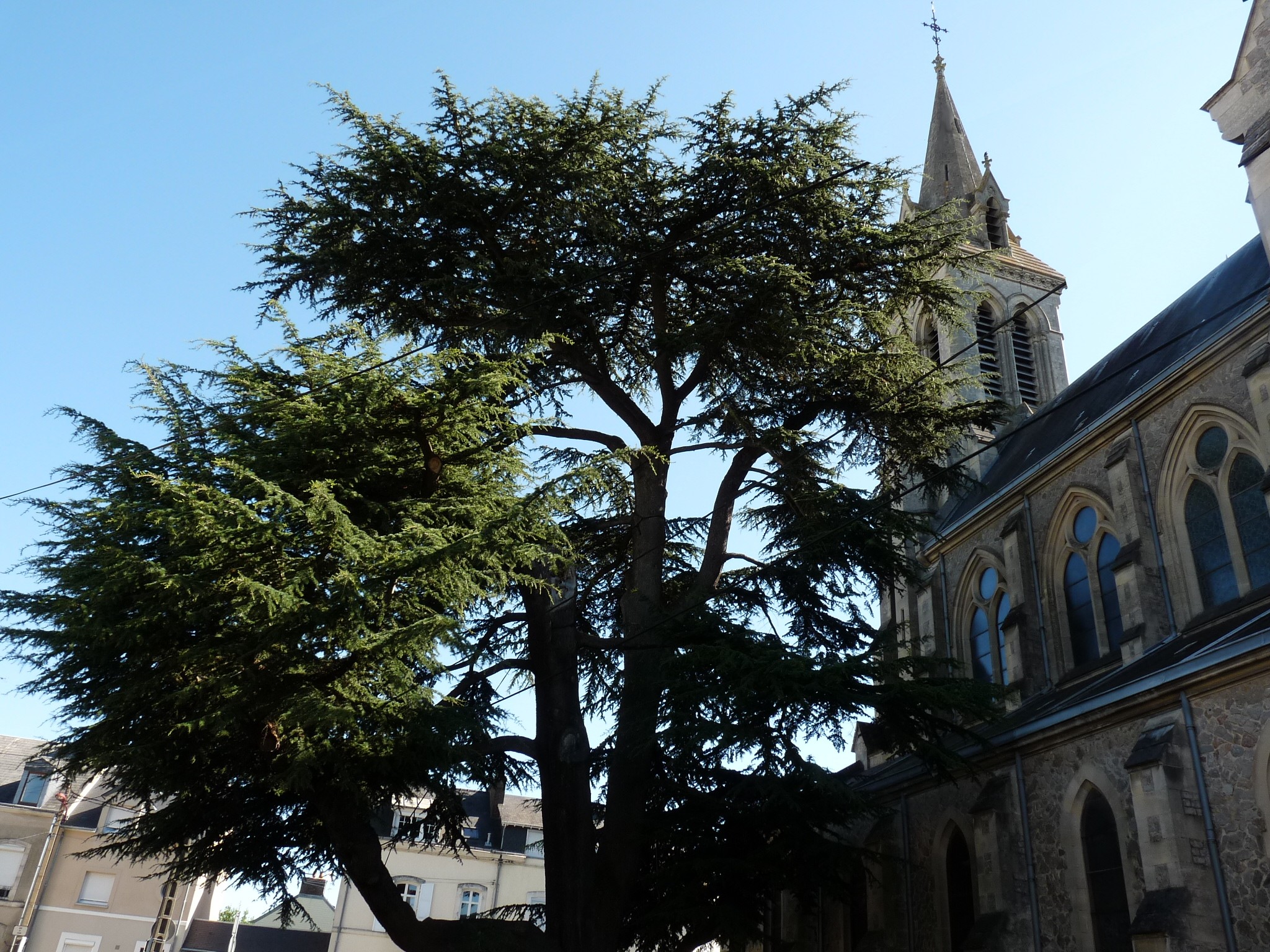 Eglise SaintPavin Patrimoine quartiers Le Mans Ouest