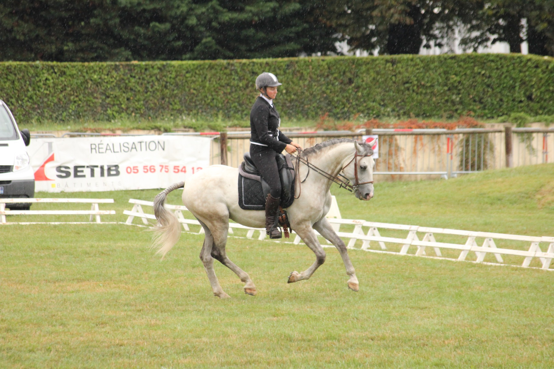L’Équitation de Travail - Les Ecuries de Ginkgo, Tourisme ...