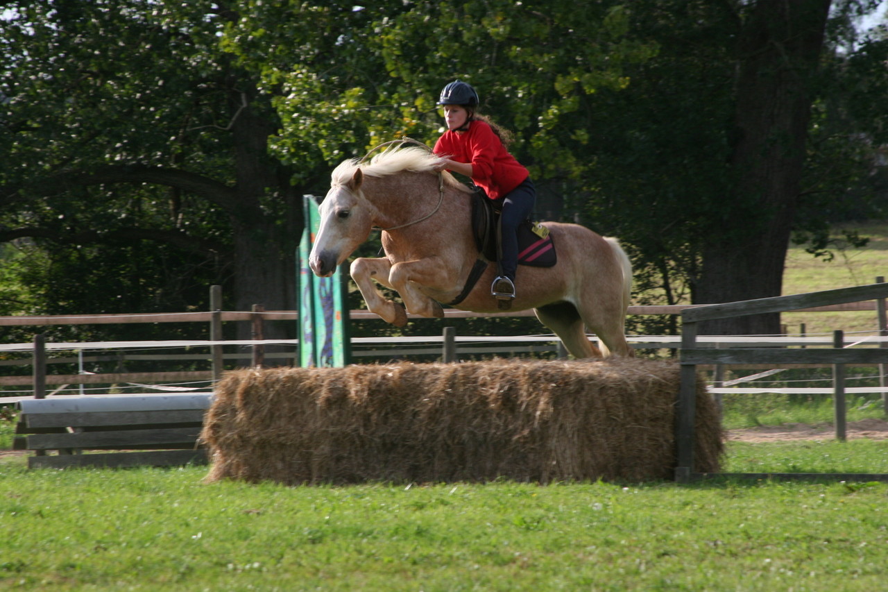 Springausbildung - Ponyhof Heynckes In Niederkrüchten-Elmpt