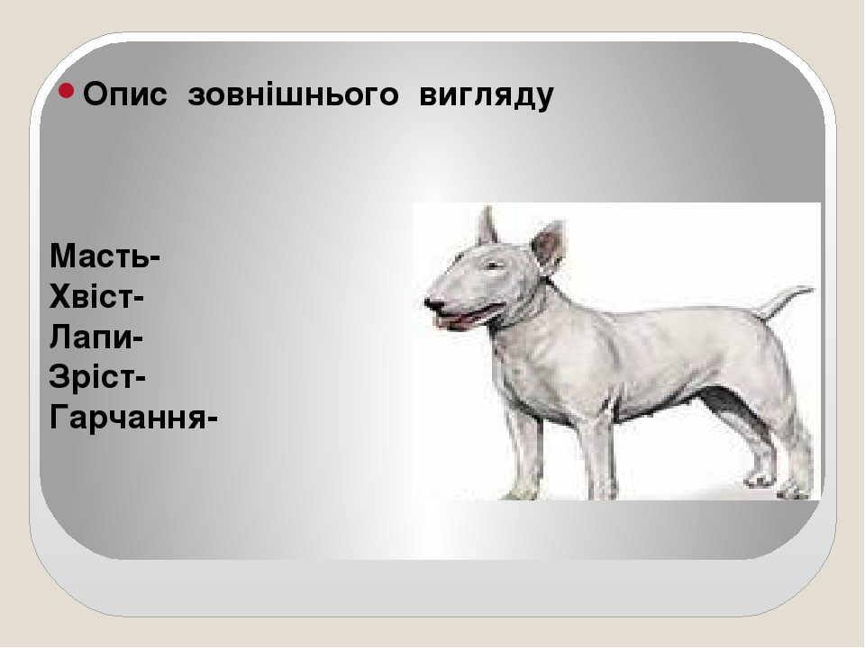 Снап Муви