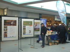 Der Infostand des LBV im Einkaufspark mit der Bekassinenausstellung