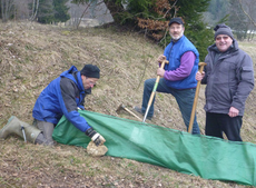 Mit vereinten Kräften wurde der Amphibienzaun aufgebaut!