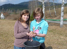 Isabella und Daniela Hartl aus Katzenbach helfen bei der Betreuung des Zaunes fleißig mit