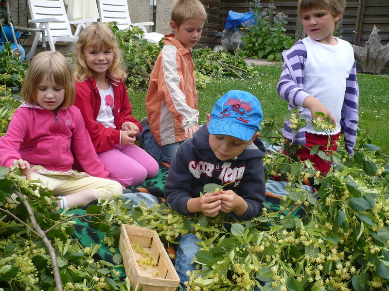 Kneippkurse für Kinder