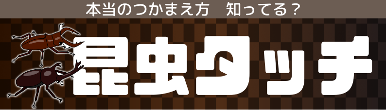昆虫タッチ