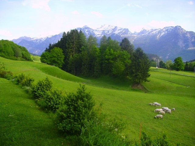 Blick von der Terasse auf dasTennengebirge