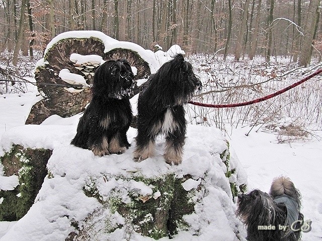 Luna & Emma