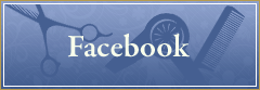 フェイスブック