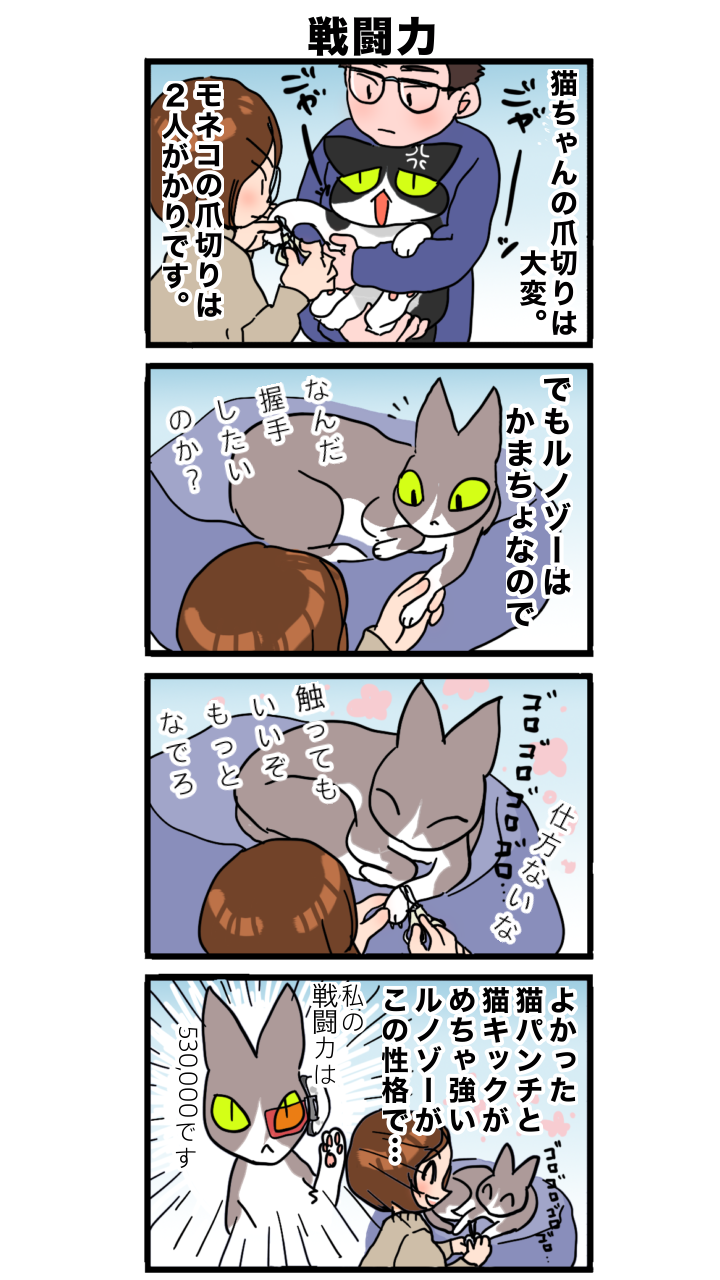 4月のお便り3