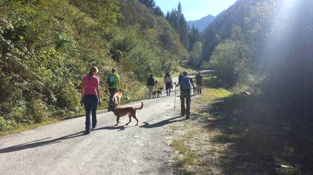 Wandern im Pinzgau