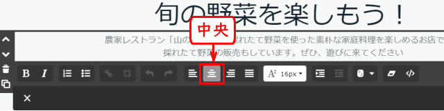 sec15_01:文字の「中央揃い」