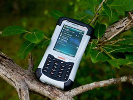 Handheld für Bauminspektion