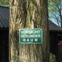 Prüfung der Verkehrssicherheit durch Baumkontrolle und fachlich qualifizierte Inaugenscheinnahme
