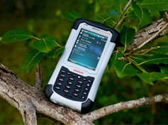 Baumkontrolle und Baumkastastererstellung