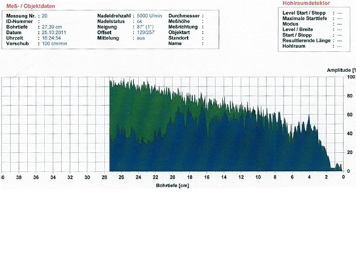 Resistogramm mit festem Holzkörper