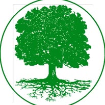Stark für den Baum: A. Hasshold GmbH