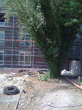 Aufgrabungen im Wurzelbereich