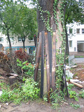 Baumschutz auf Baustellen