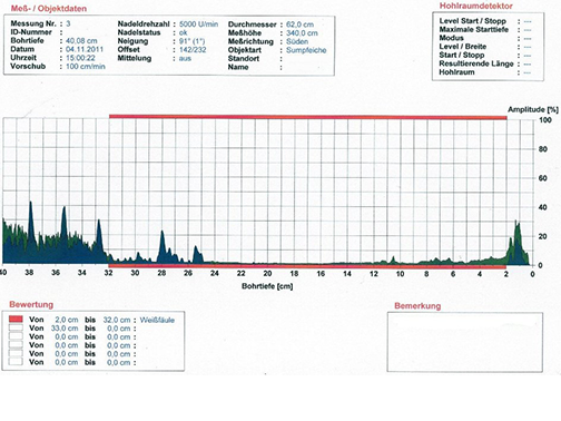Resistogramm faulem Holzkörper