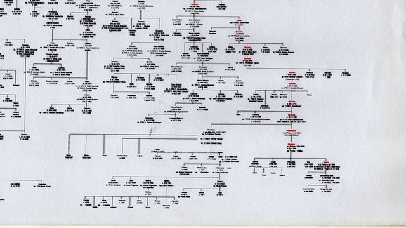 Ingrandimento di un particolare ( a destra in basso ) dell'albero genealogico dicasa Valier