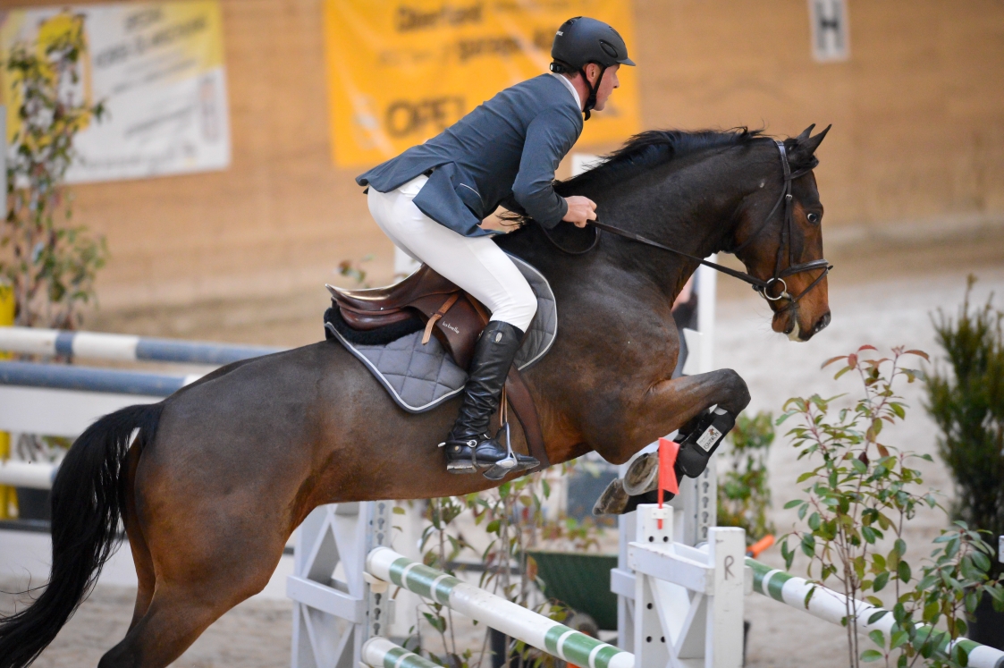 WIR FINDEN DAS PASSENDE PFERD - frehnerapperts Webseite!