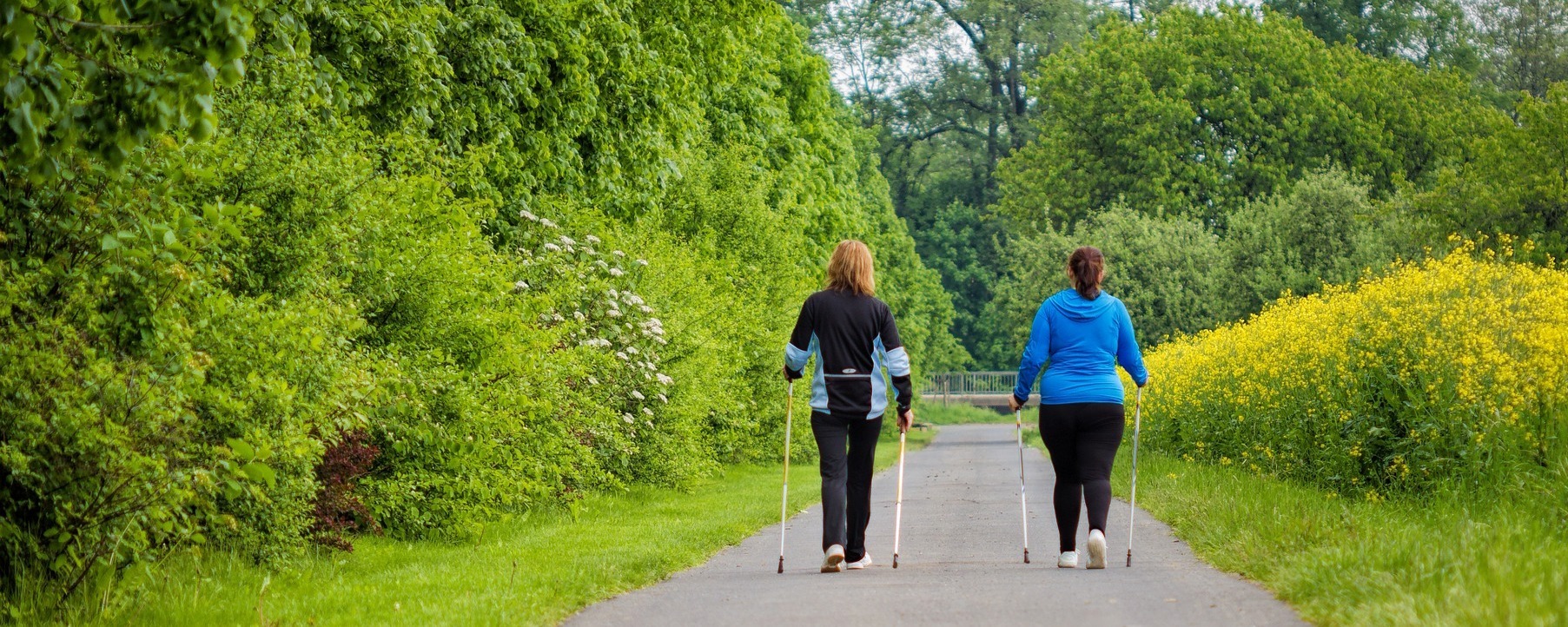 Vöhler Abendlauf, Vöhl