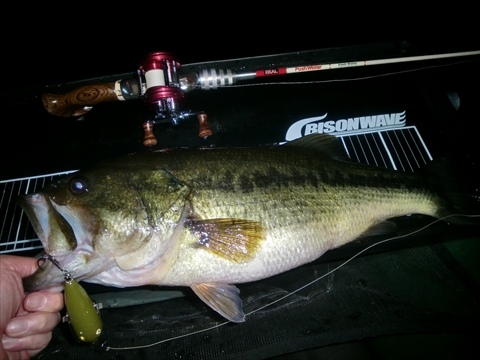 ゴーマルの部屋 - zeallure