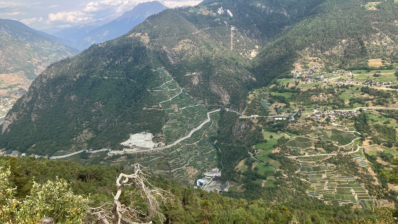 Blick ins Tal...oder zumindest fast.