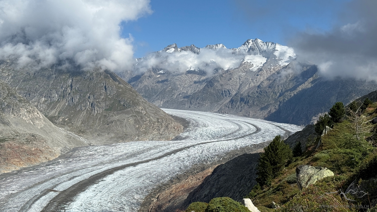 Gigant Aletschgletscher