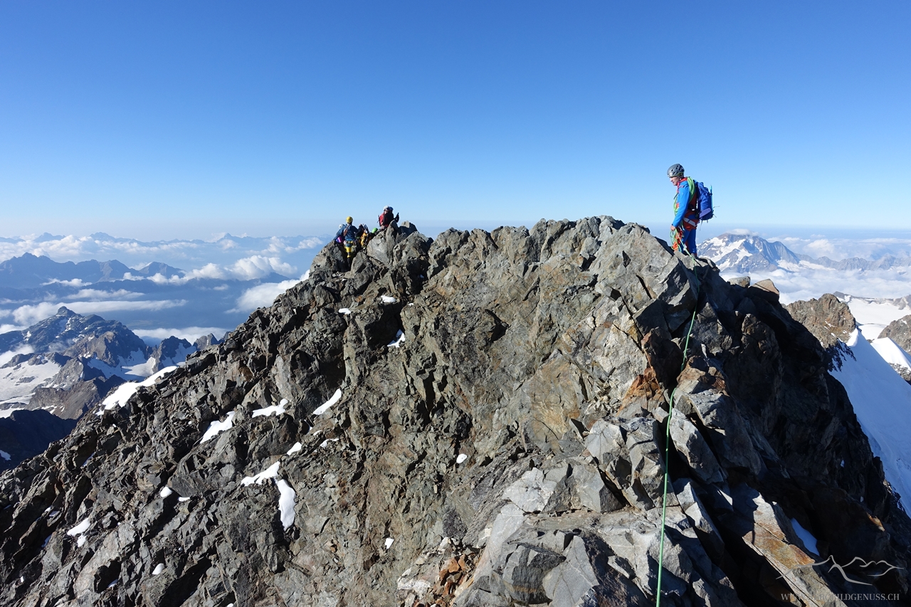 Bald am Gipfel des Piz Bernina