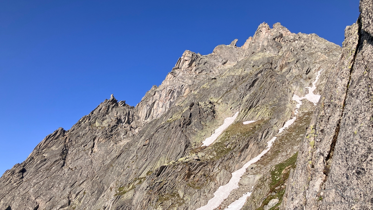 Salbitschijen