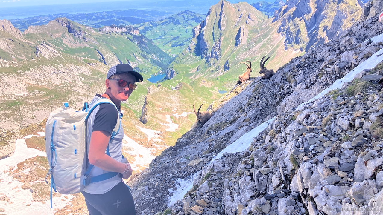 Und die Könige des Alpsteins auch..