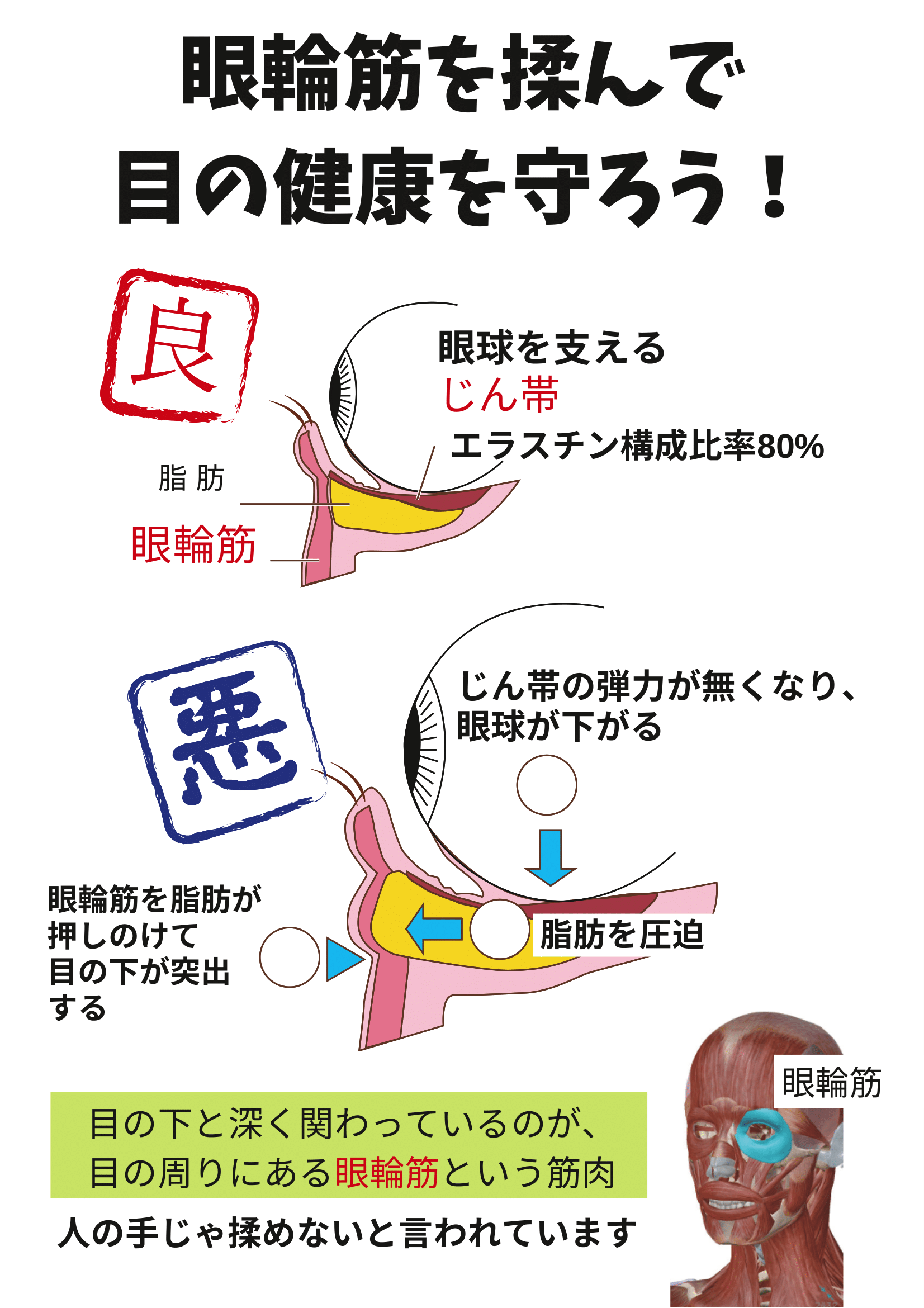 眼筋トレーニングマシン『キャッチアイ」を試してみませんか 眼筋トレーニングマシン『キャッチアイ」を試してみませんか
