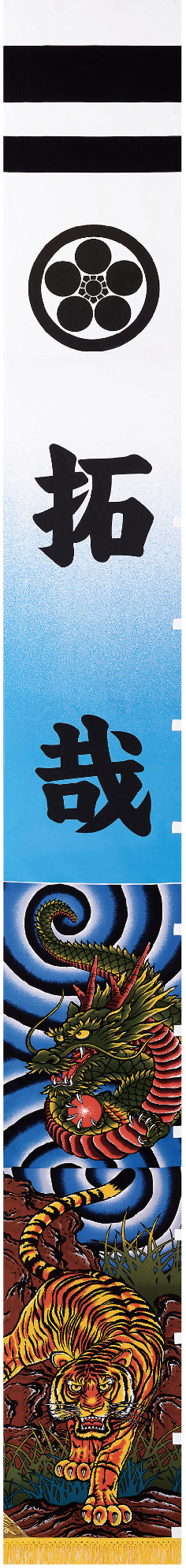武者のぼり 節句幟 新連龍虎 青ボカシ 撥水加工幟 フレンジ付 7.5m（557210）
