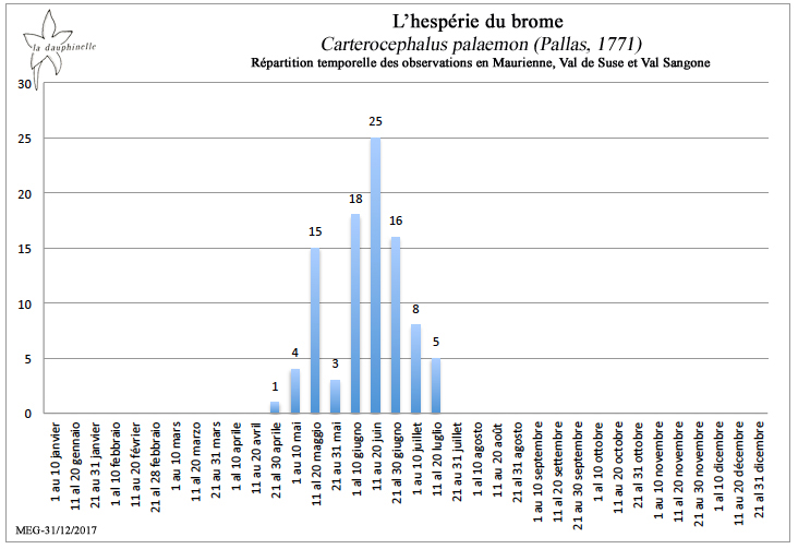 Hespérie du brome Carterocephalus palaemon répartition temporelle