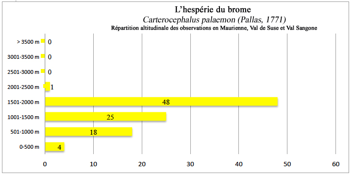 Hespérie du brome Carterocephalus palaemon répartition altitudinale