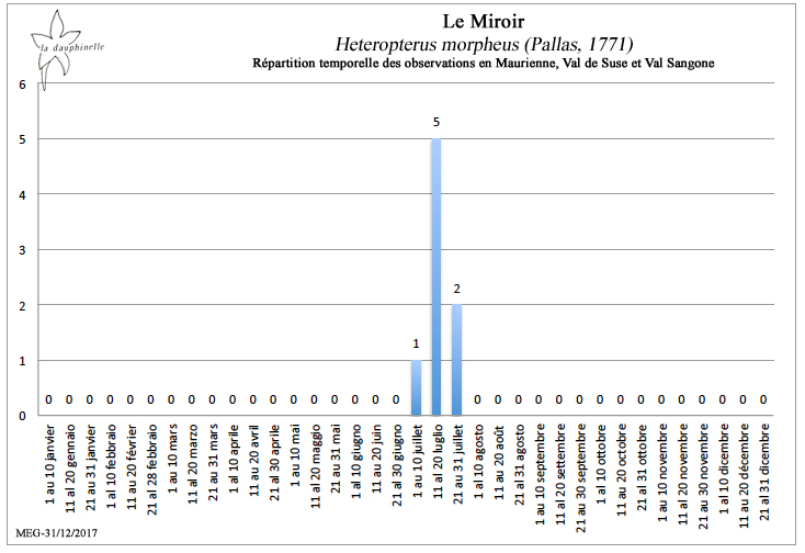 Le Miroir Heteropterus morpheus répartition temporelle