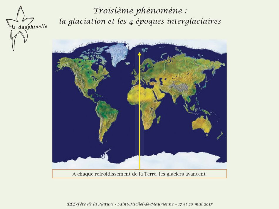 L’origine des espèces exotiques envahissantes, La Dauphinelle la glaciation