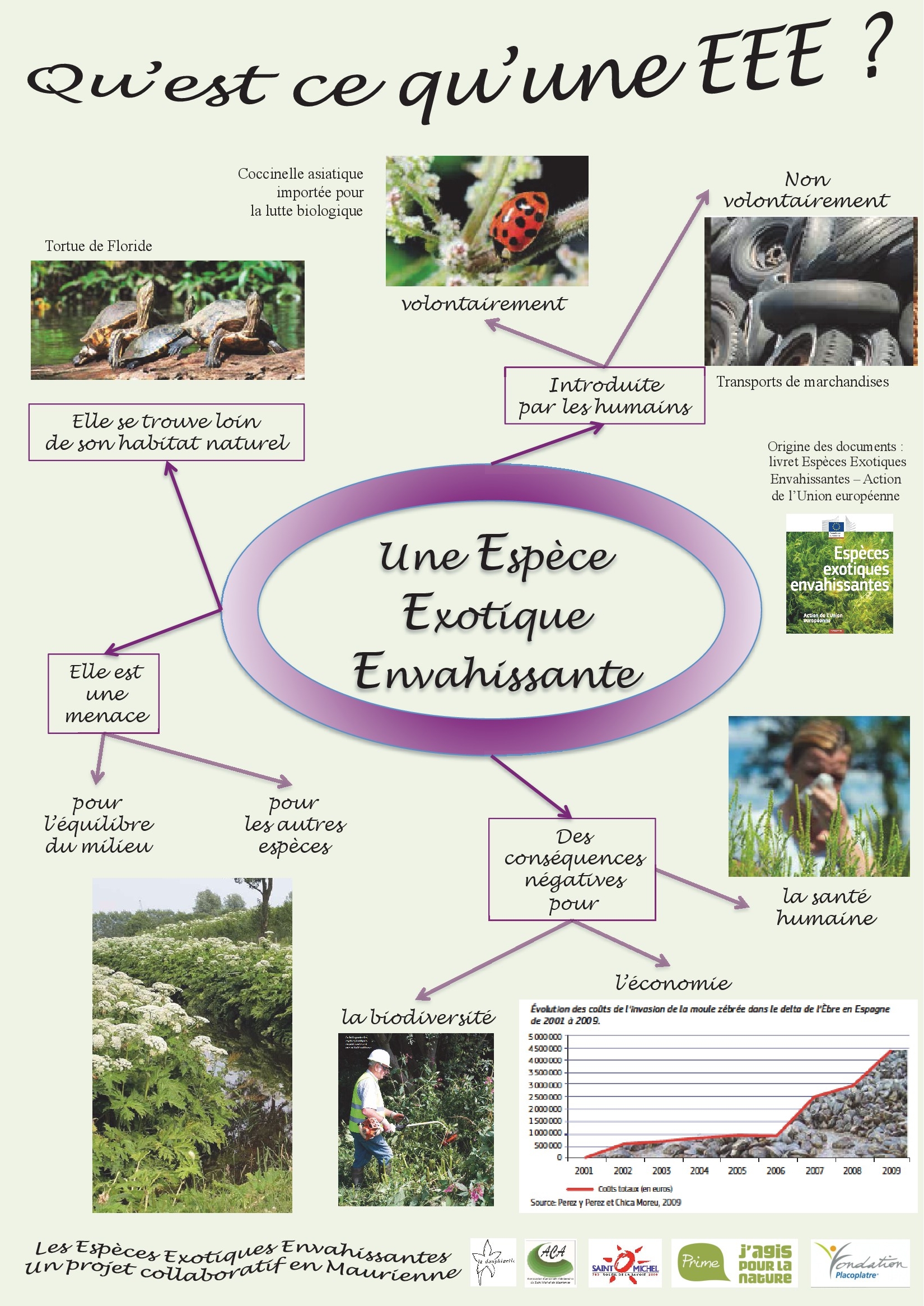 esp-ces-exotiques-envahissantes-la-dauphinelle-le-lutin-de-la-nature