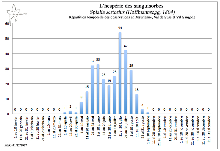 L’hespérie des sanguisorbes Spialia sertorius répartition temporelle