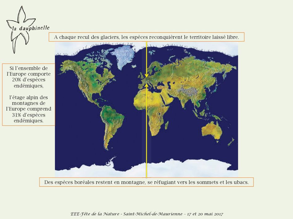 L’origine des espèces exotiques envahissantes, La Dauphinelle la glaciation